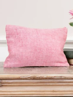 Bel Canto Pouch - Aqua Pink