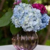 Cottage Vase - Amethyst