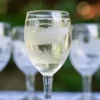 Crane Wine Glass Set of 4