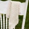 Everyday Eyelet Napkin Set of 2 - Ivory