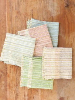Homespun Versatile Kitchen Cloth Set of 5 - Multi