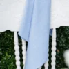 Lark Cotton Jacquard Napkin Set of 4 - Blue
