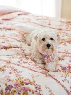 Victoriana Quilt - Antique Rose